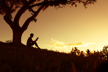鲜花手抄报资料