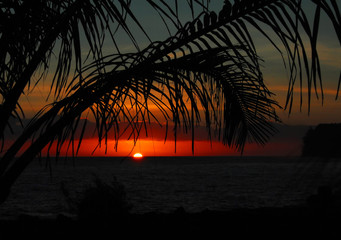 健康大讲堂主持人主持词大全