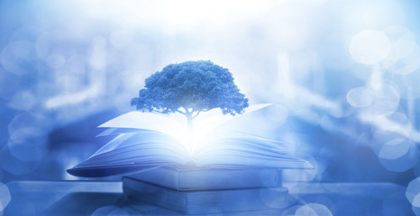 鲜花手抄报资料