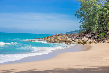 大海里都有哪些动物？