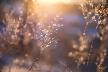 公安队伍建设的含义与任务有哪些