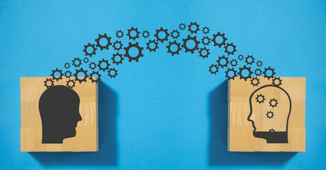 大海里都有哪些动物？