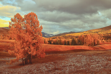 带乃字的文言文