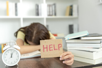 鲜花手抄报资料