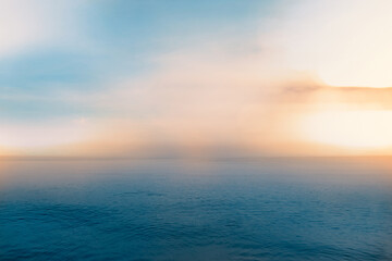 鲜花手抄报资料