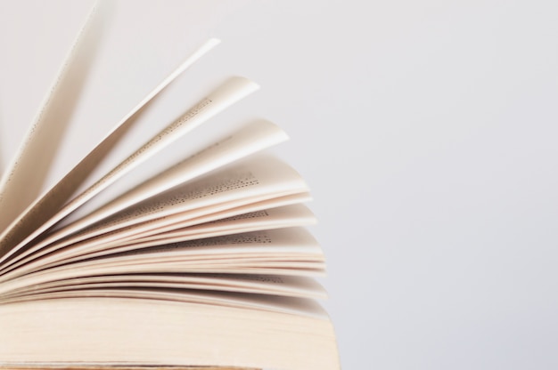 鲜花手抄报资料