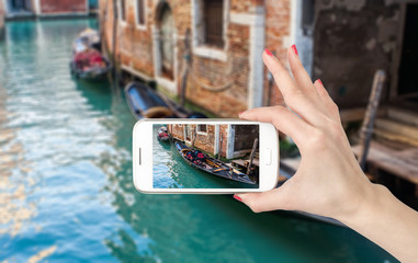 大海里都有哪些动物？