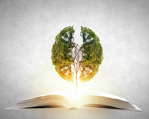 植物标本怎么制作方法