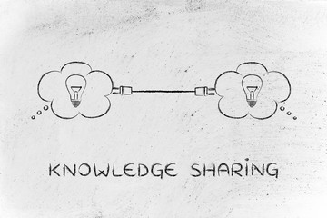 大海里都有哪些动物？